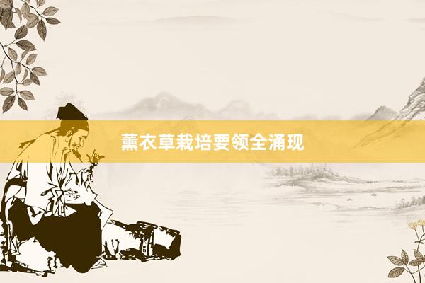 薰衣草栽培要领全涌现