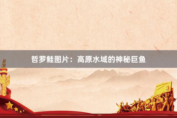 哲罗鲑图片：高原水域的神秘巨鱼