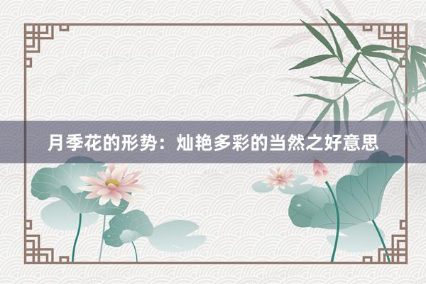 月季花的形势：灿艳多彩的当然之好意思