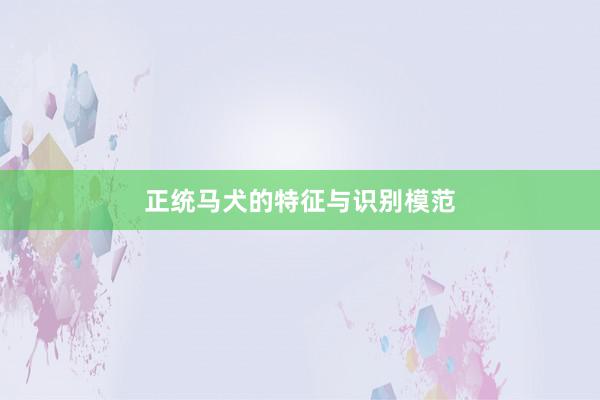 正统马犬的特征与识别模范