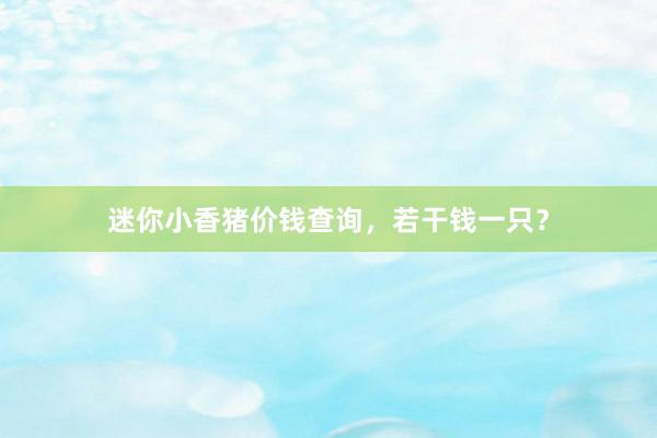 迷你小香猪价钱查询，若干钱一只？