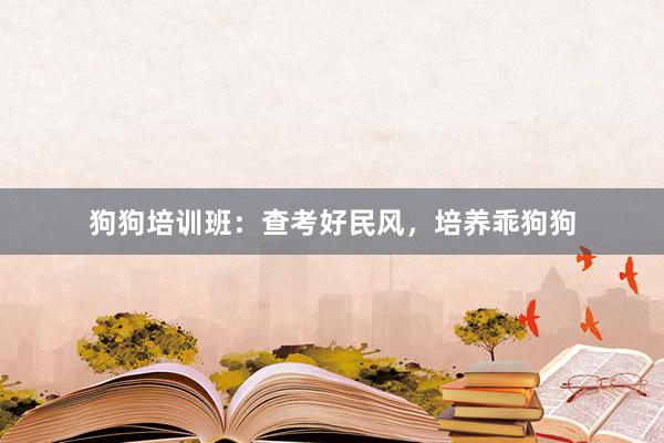 狗狗培训班：查考好民风，培养乖狗狗